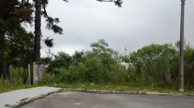 Lote para venda no bairro Planalto em Caxias do Sul Lote para venda no bairro Planalto em Caxias do Sul