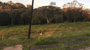 Terreno Padrão para venda no bairro Sagrada Família em Caxias do Sul Terreno Padrão para venda no bairro Sagrada Família em Caxias do Sul